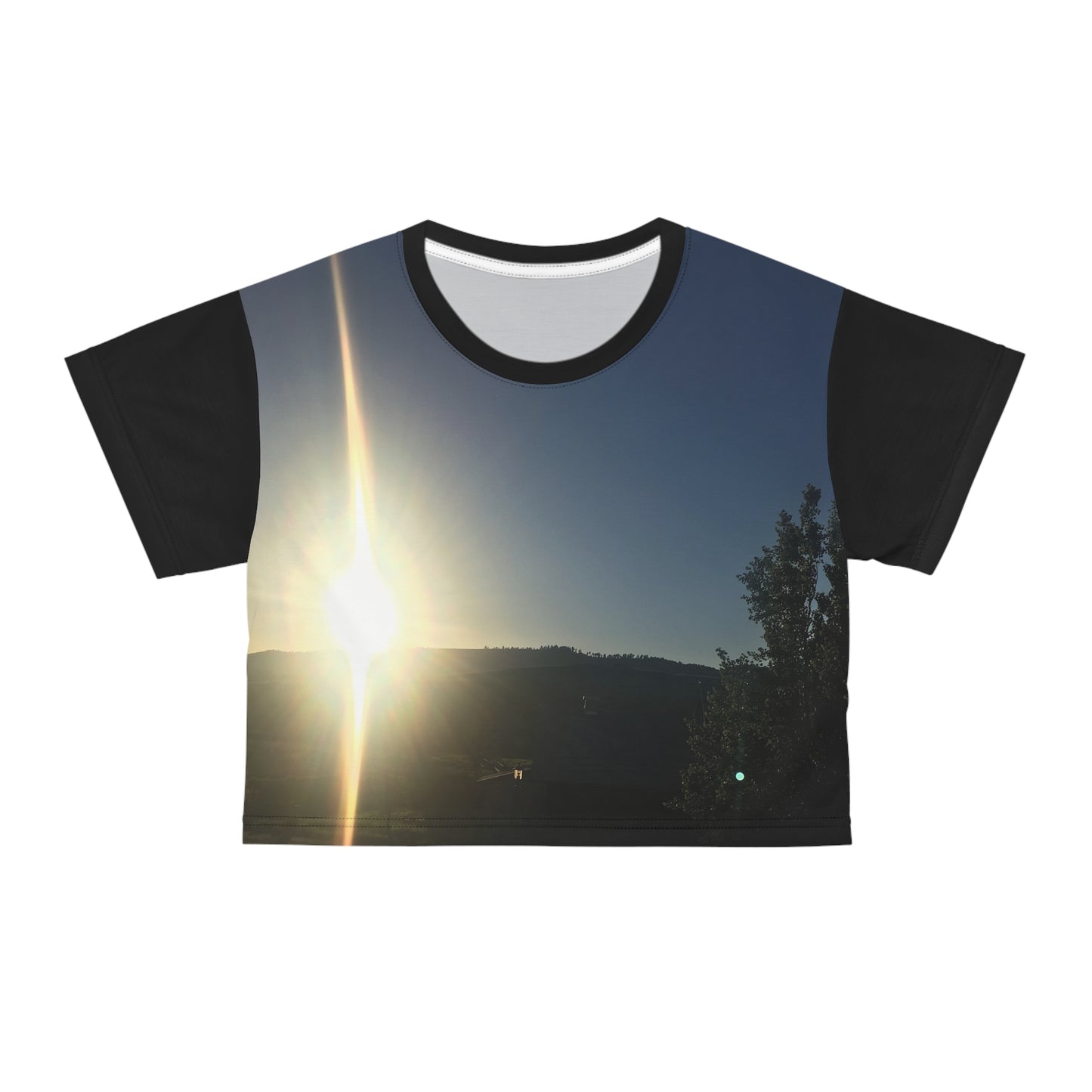 Sun's Burst Crop Top