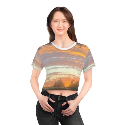 Sunset Crop Top