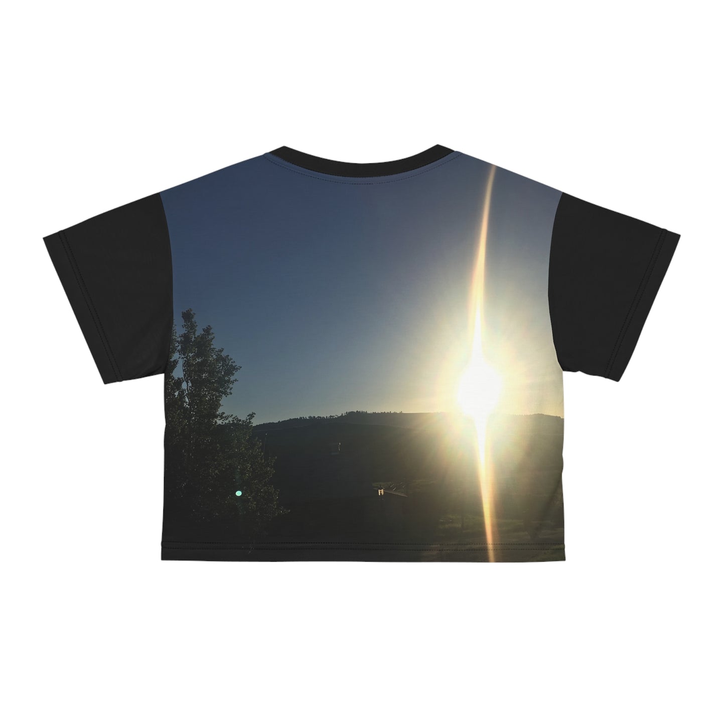 Sun's Burst Crop Top